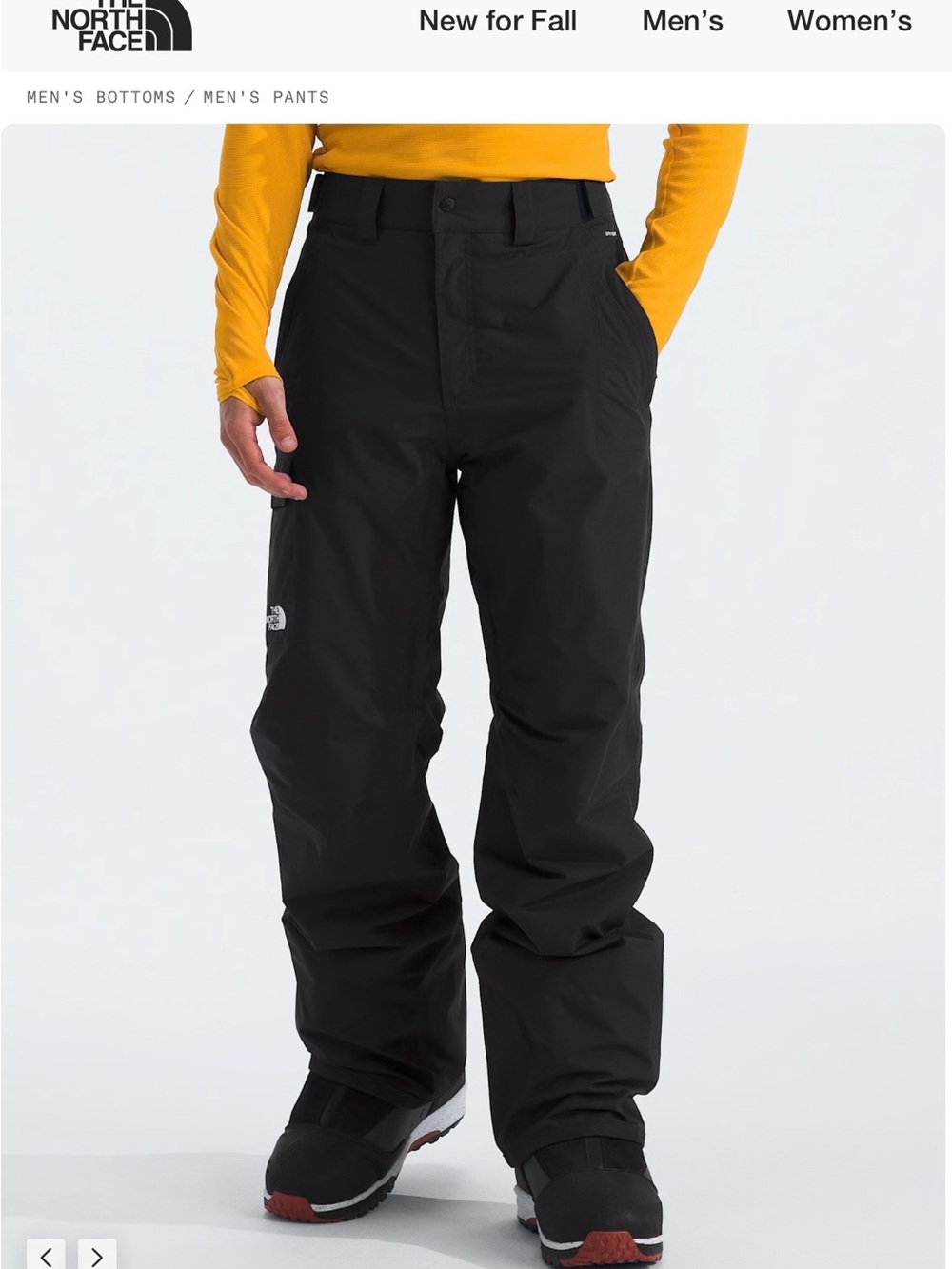 The North Face Men's Freedom Insulated Pants